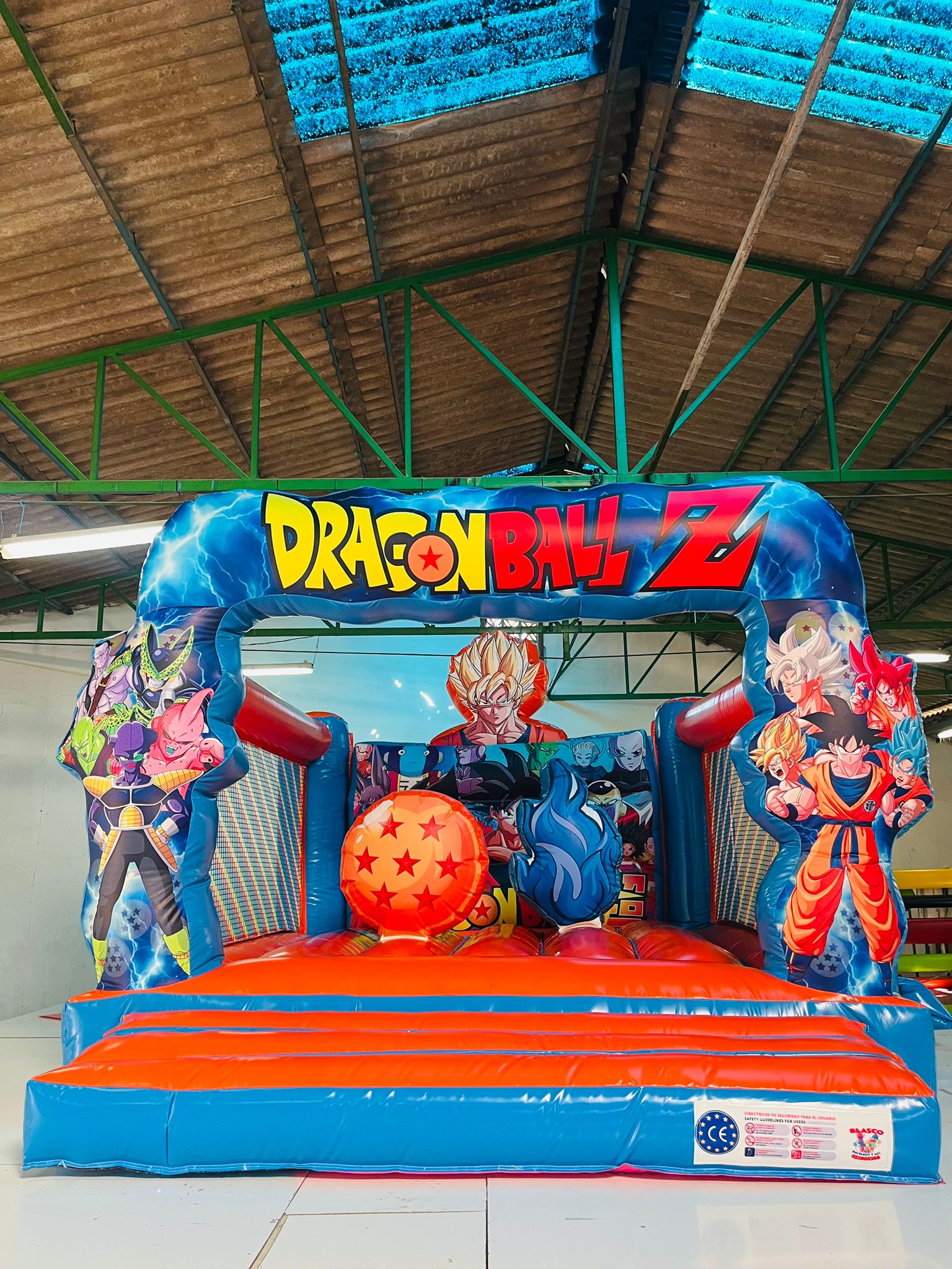 Hinchable Dragón Ball 4x 4 x 2,80 de alto